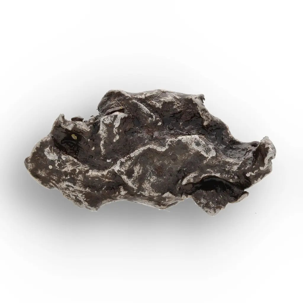 Get your Authentic Sikhote-Alin Iron Meteorite Fragment – 1947 Fall online now or in store at Forever Gems in Franschhoek, South Africa