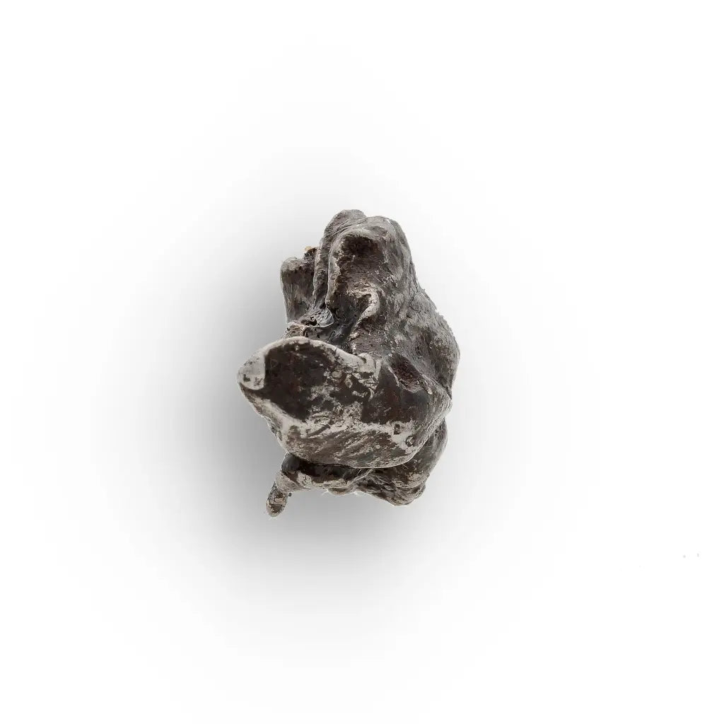 Get your Authentic Sikhote-Alin Iron Meteorite Fragment – 1947 Fall online now or in store at Forever Gems in Franschhoek, South Africa
