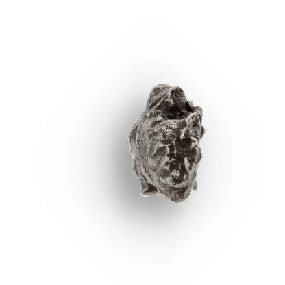 Get your Authentic Sikhote-Alin Iron Meteorite Fragment – 1947 Fall online now or in store at Forever Gems in Franschhoek, South Africa