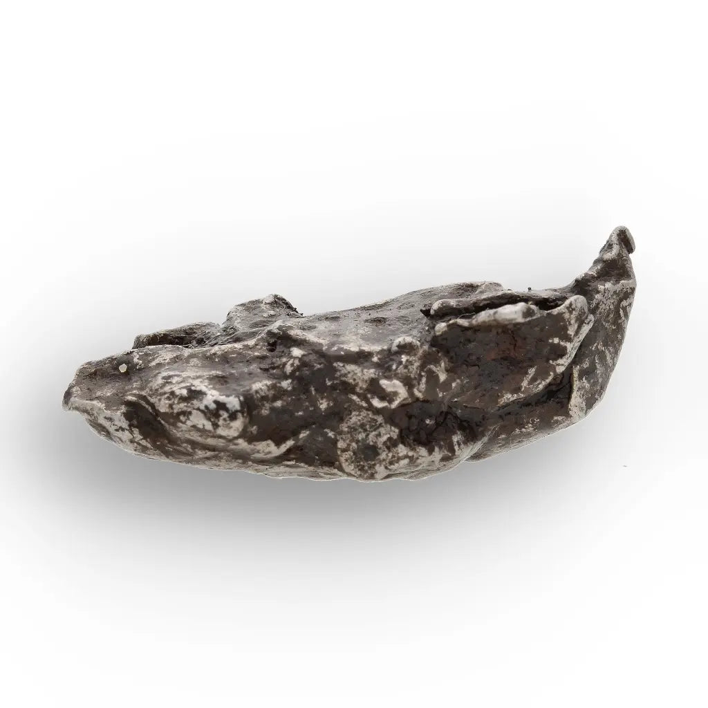 Get your Authentic Sikhote-Alin Iron Meteorite Fragment – 1947 Fall online now or in store at Forever Gems in Franschhoek, South Africa
