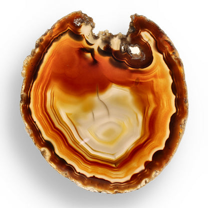 Get your Natural Brown Agate Slice – Nature’s Coffee-Coloured Gem online now or in store at Forever Gems in Franschhoek, South Africa