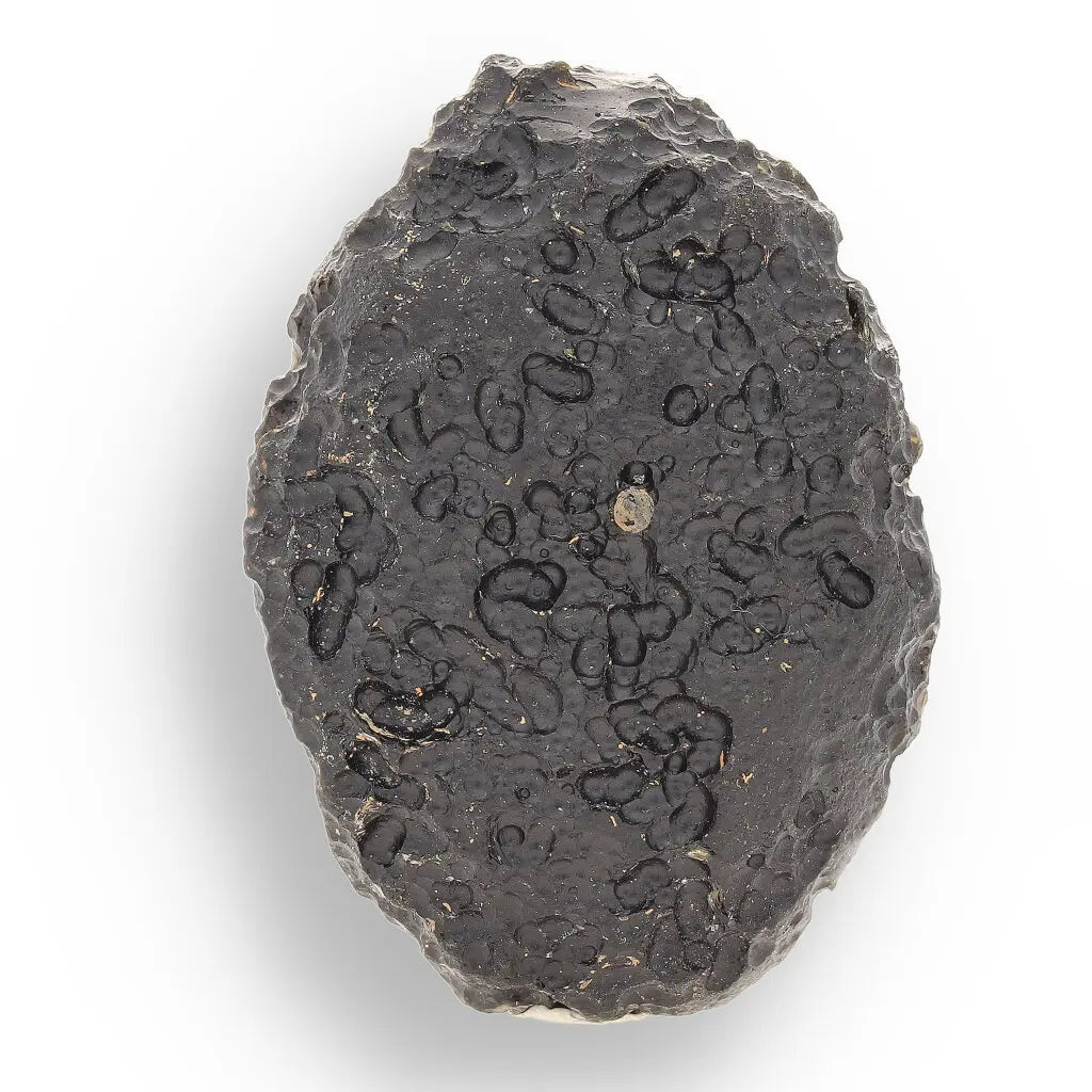 Get your Indochinite Tektite - Authentic Space Glass That Survived Earth's Most Violent Collision online now or in store at Forever Gems in Franschhoek, South Africa