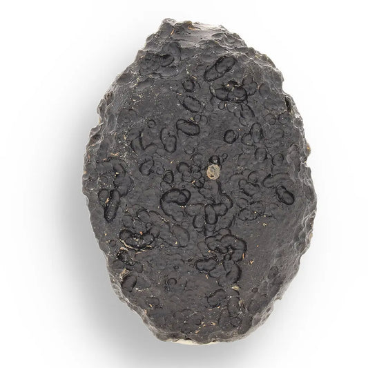 Get your Indochinite Tektite - Authentic Space Glass That Survived Earth's Most Violent Collision online now or in store at Forever Gems in Franschhoek, South Africa