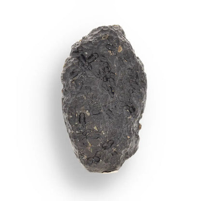 Get your Indochinite Tektite - Authentic Space Glass That Survived Earth's Most Violent Collision online now or in store at Forever Gems in Franschhoek, South Africa