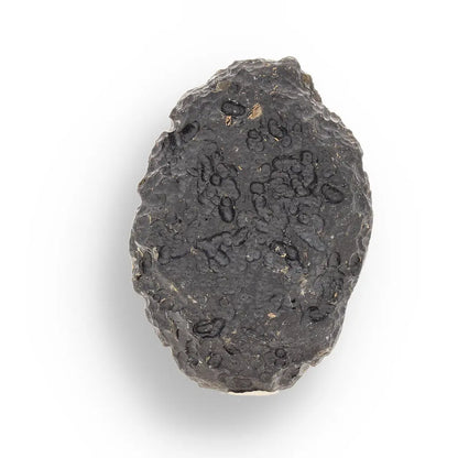Get your Indochinite Tektite - Authentic Space Glass That Survived Earth's Most Violent Collision online now or in store at Forever Gems in Franschhoek, South Africa