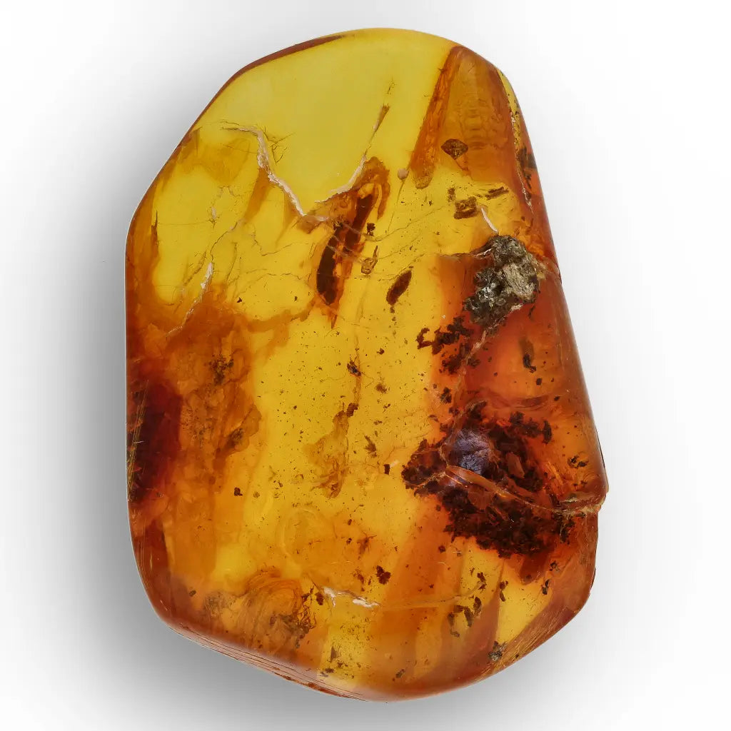 Get your Baltic Amber with Insect Inclusion – Genuine Prehistoric Fossil Specimen online now or in store at Forever Gems in Franschhoek, South Africa