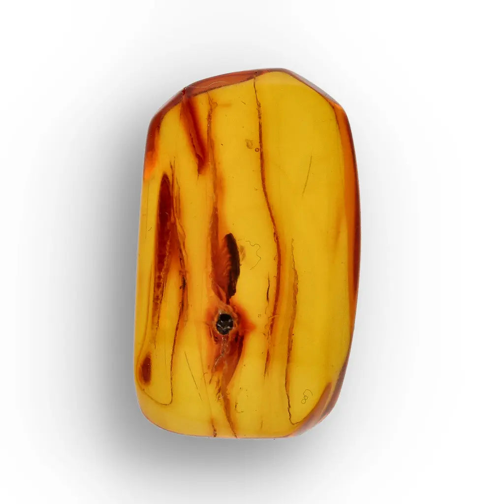 Get your Natural Baltic Amber Fossil with Trapped Insect Inclusion online now or in store at Forever Gems in Franschhoek, South Africa