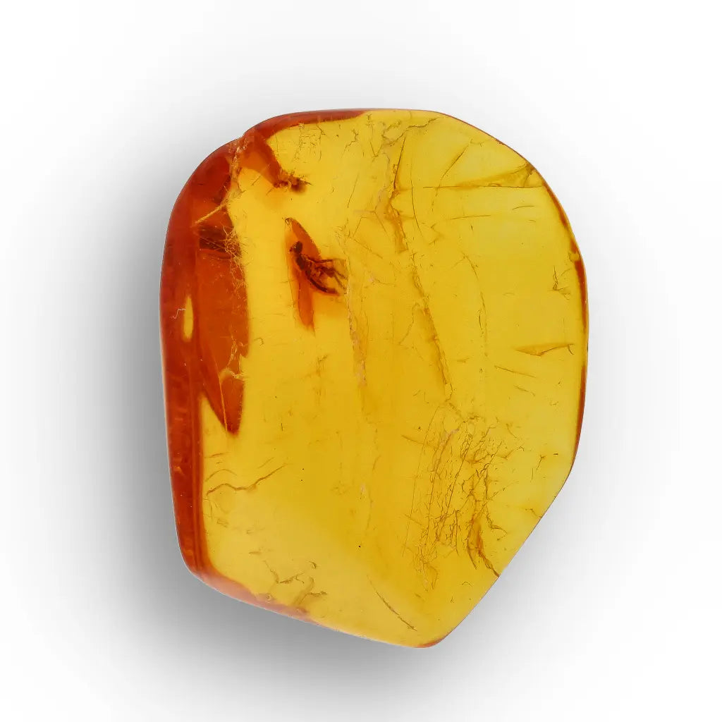 Get your Baltic Amber Insect Inclusion – Authentic Fossilised Amber Piece online now or in store at Forever Gems in Franschhoek, South Africa