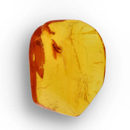 Get your Baltic Amber Insect Inclusion – Authentic Fossilised Amber Piece online now or in store at Forever Gems in Franschhoek, South Africa