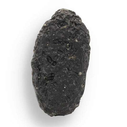 Get your Indochinite Tektite - Molten Earth Memory Frozen in Time online now or in store at Forever Gems in Franschhoek, South Africa