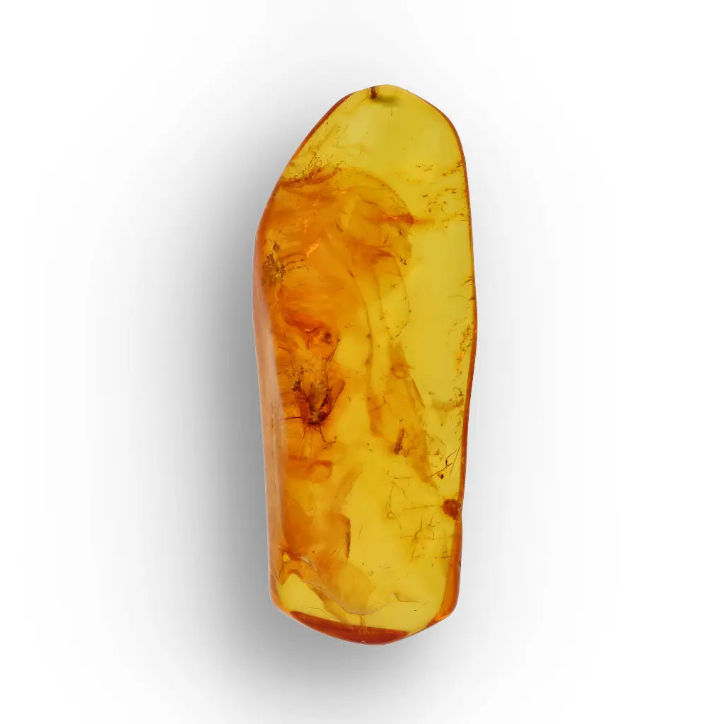 Get your Polished Baltic Amber with Preserved Insect – Collectors Specimen online now or in store at Forever Gems in Franschhoek, South Africa