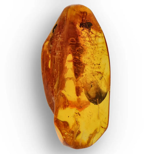 Get your Real Baltic Amber with Prehistoric Insect Inclusion – Unique Fossil online now or in store at Forever Gems in Franschhoek, South Africa