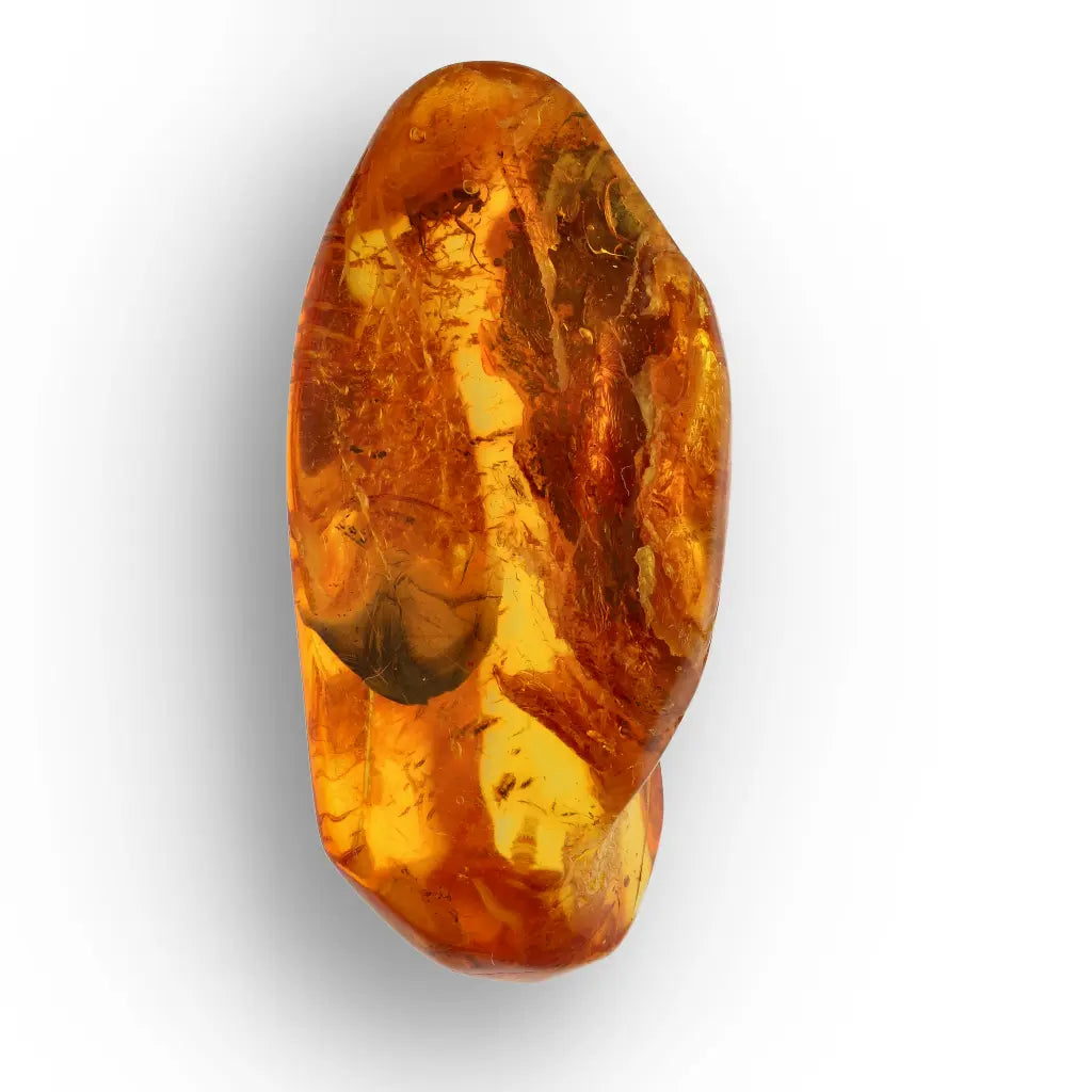 Get your Real Baltic Amber with Prehistoric Insect Inclusion – Unique Fossil online now or in store at Forever Gems in Franschhoek, South Africa