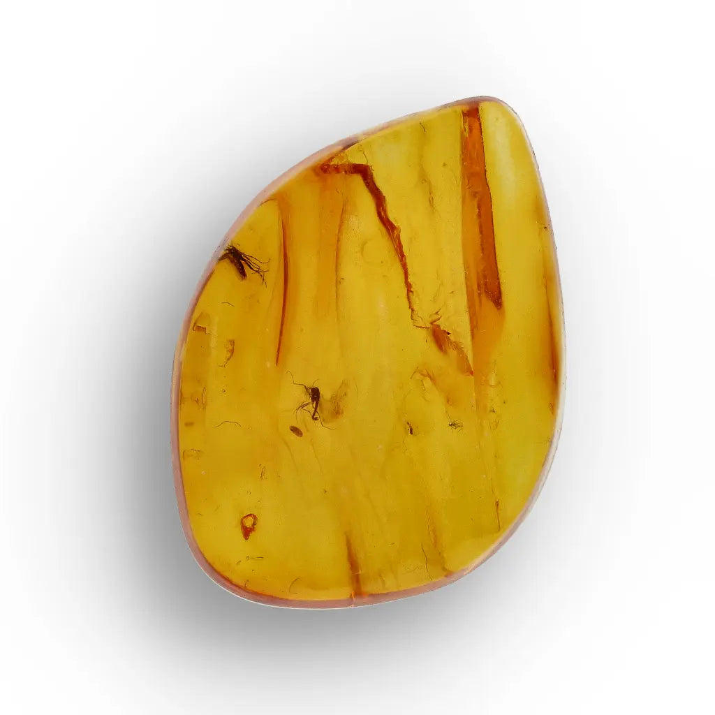 Get your Genuine Baltic Amber Fossil with Visible Insect Inclusion online now or in store at Forever Gems in Franschhoek, South Africa
