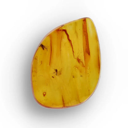 Get your Genuine Baltic Amber Fossil with Visible Insect Inclusion online now or in store at Forever Gems in Franschhoek, South Africa