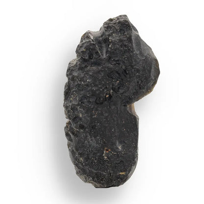 Get your Indochinite Tektite - Genuine Sky Stone from Earth's Cosmic Catastrophe online now or in store at Forever Gems in Franschhoek, South Africa