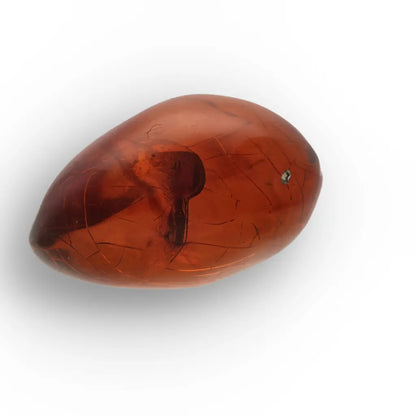 Get your Dominican Amber with Insect Inclusion Natural Fossil online now or in store at Forever Gems in Franschhoek, South Africa