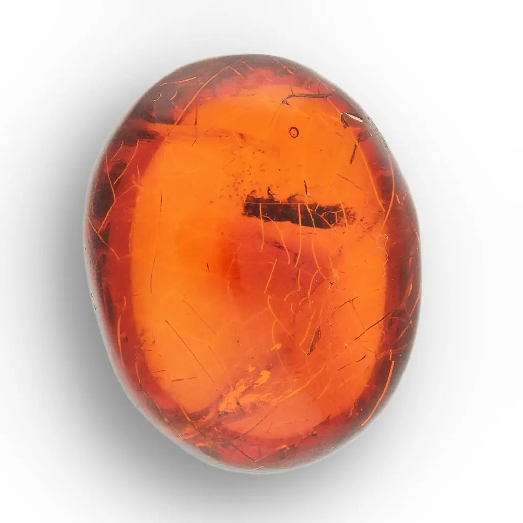 Get your Dominican Amber with Insect Inclusion Natural Fossil online now or in store at Forever Gems in Franschhoek, South Africa