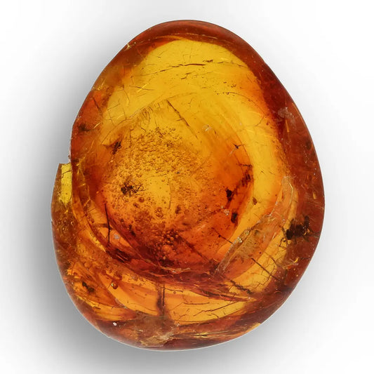 Get your Rare Dominican Republic Amber Insect Inclusion Stone online now or in store at Forever Gems in Franschhoek, South Africa