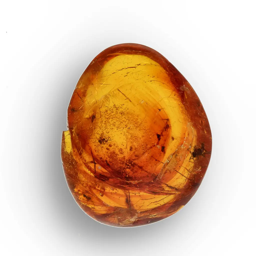 Get your Rare Dominican Republic Amber Insect Inclusion Stone online now or in store at Forever Gems in Franschhoek, South Africa