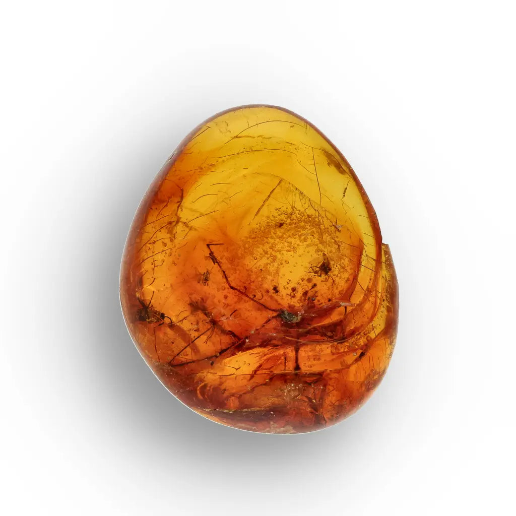 Get your Rare Dominican Republic Amber Insect Inclusion Stone online now or in store at Forever Gems in Franschhoek, South Africa