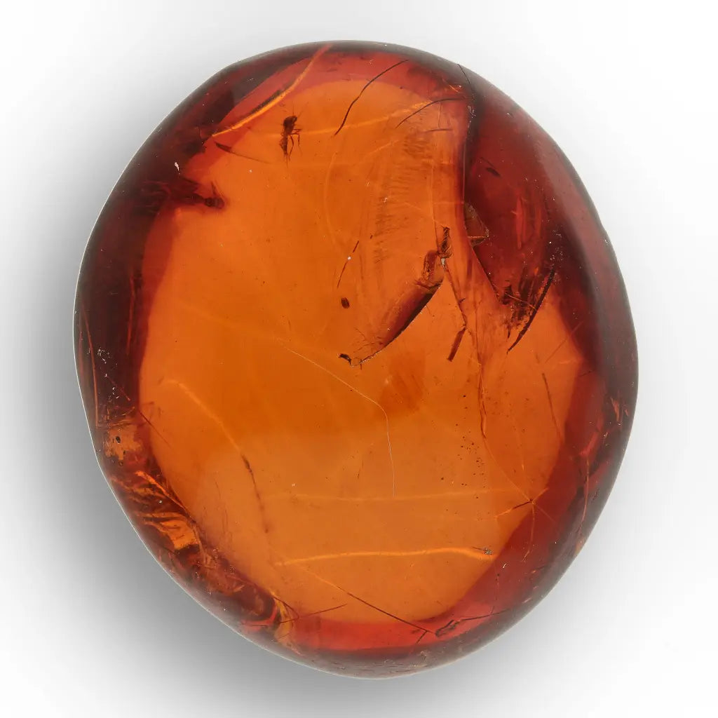 Get your Dominican Amber with Prehistoric Insect Inclusion Fossil online now or in store at Forever Gems in Franschhoek, South Africa