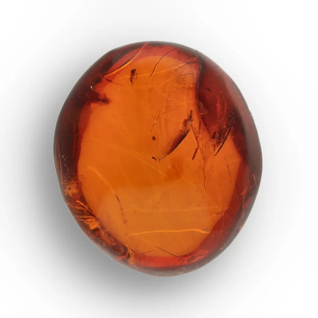 Get your Dominican Amber with Prehistoric Insect Inclusion Fossil online now or in store at Forever Gems in Franschhoek, South Africa