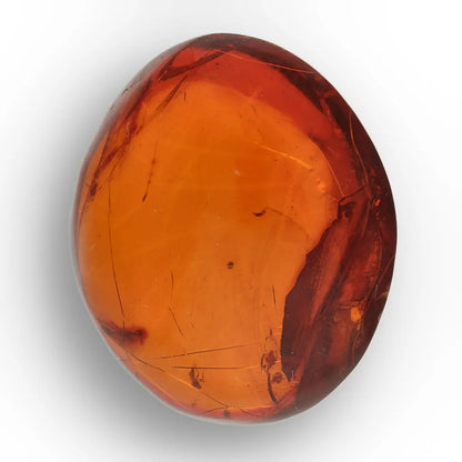 Get your Dominican Amber with Prehistoric Insect Inclusion Fossil online now or in store at Forever Gems in Franschhoek, South Africa