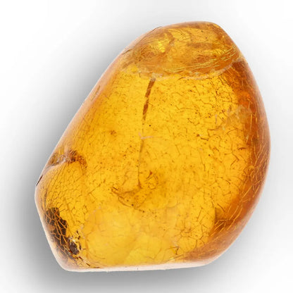 Get your Natural Dominican Amber with Trapped Insect Fossil online now or in store at Forever Gems in Franschhoek, South Africa