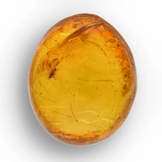 Get your Collector Dominican Amber Insect Inclusion Specimen online now or in store at Forever Gems in Franschhoek, South Africa