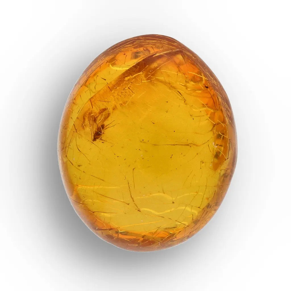 Get your Collector Dominican Amber Insect Inclusion Specimen online now or in store at Forever Gems in Franschhoek, South Africa