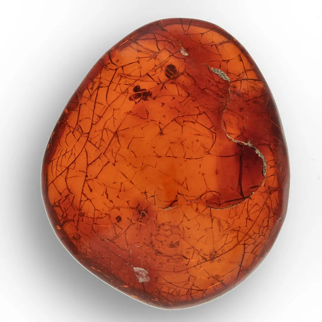 Get your Authentic Dominican Amber Fossilised Insect Inclusion online now or in store at Forever Gems in Franschhoek, South Africa