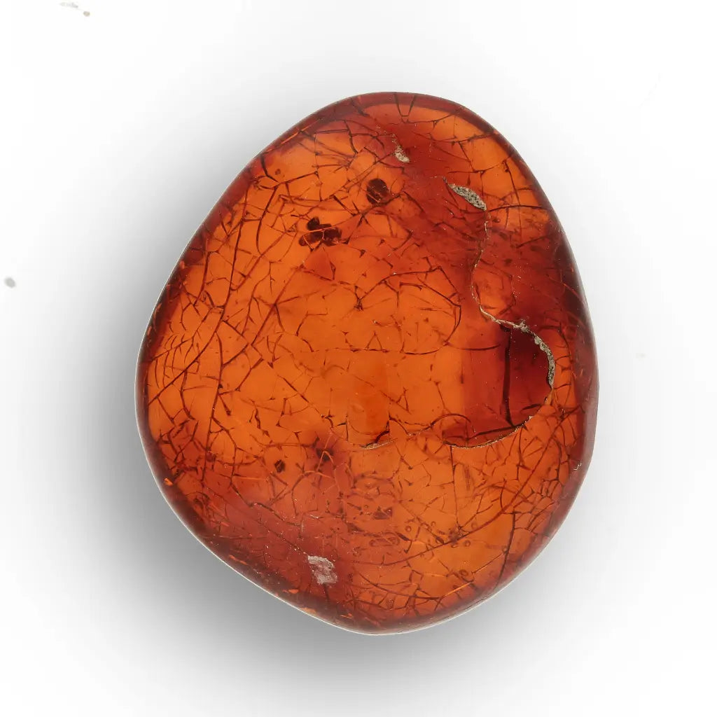 Get your Authentic Dominican Amber Fossilised Insect Inclusion online now or in store at Forever Gems in Franschhoek, South Africa