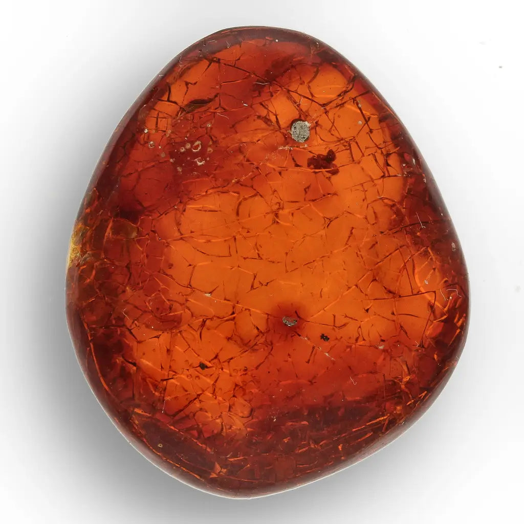 Get your Authentic Dominican Amber Fossilised Insect Inclusion online now or in store at Forever Gems in Franschhoek, South Africa