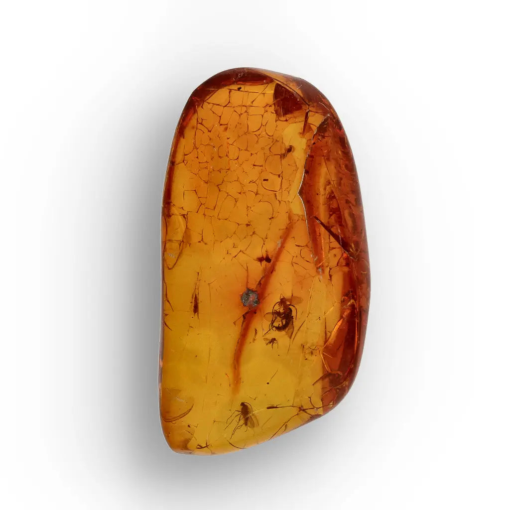 Get your Dominican Republic Amber with Ancient Insect Inclusion online now or in store at Forever Gems in Franschhoek, South Africa