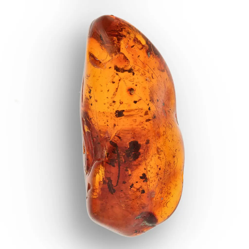 Get your Genuine Amber from Dominican Republic Insect Inclusion online now or in store at Forever Gems in Franschhoek, South Africa