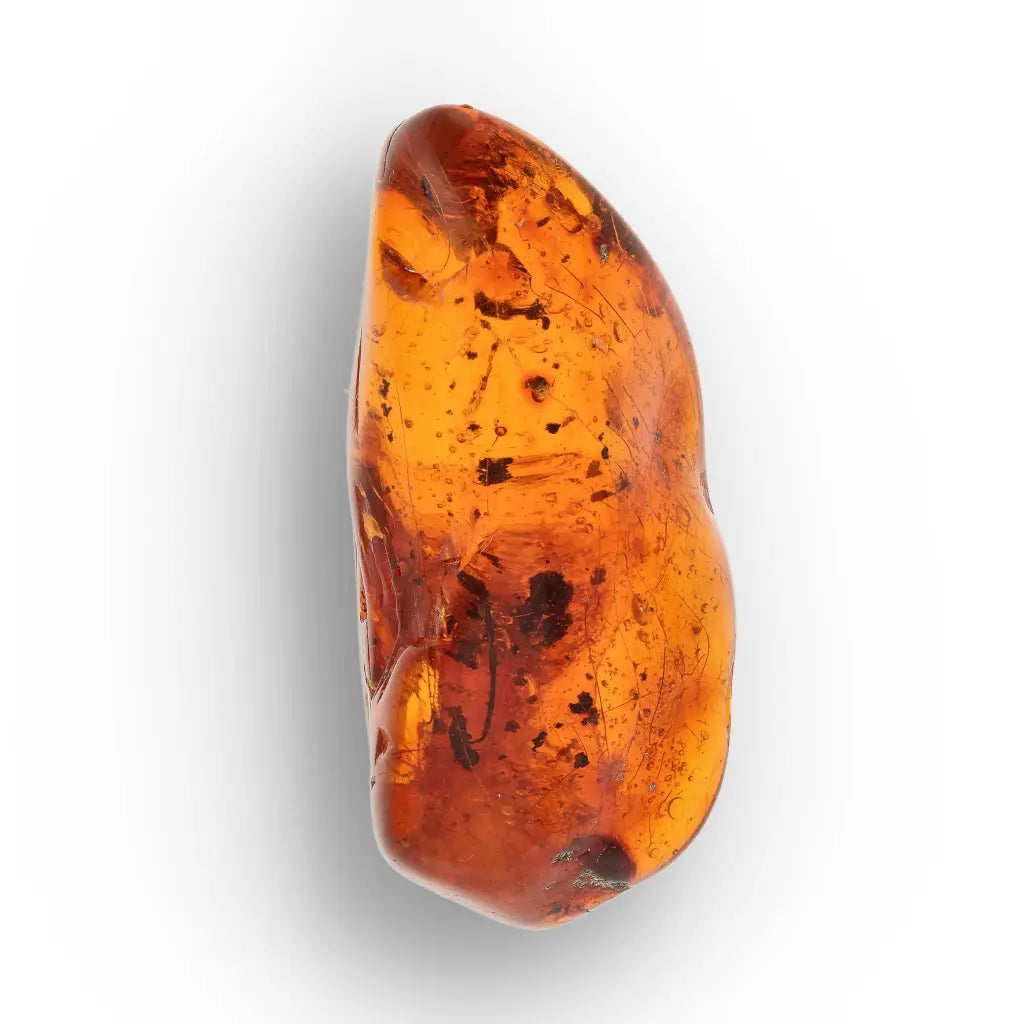 Get your Genuine Amber from Dominican Republic Insect Inclusion online now or in store at Forever Gems in Franschhoek, South Africa
