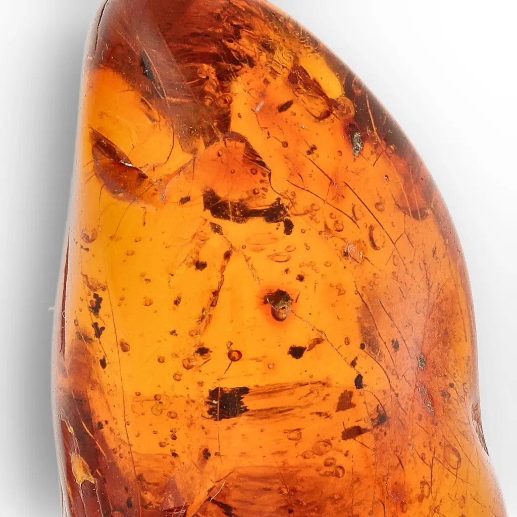 Get your Genuine Amber from Dominican Republic Insect Inclusion online now or in store at Forever Gems in Franschhoek, South Africa