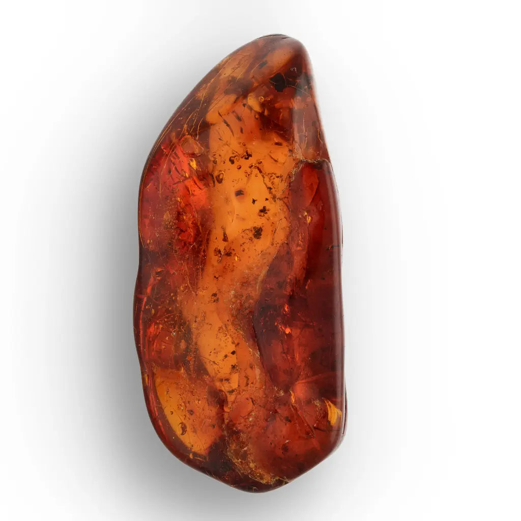 Get your Genuine Amber from Dominican Republic Insect Inclusion online now or in store at Forever Gems in Franschhoek, South Africa