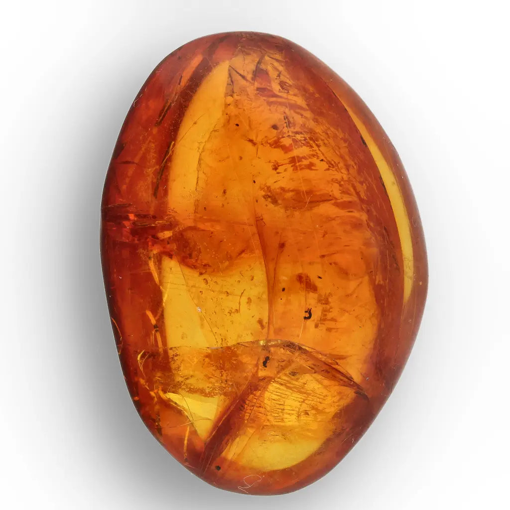 Get your Dominican Amber Fossil with Perfect Insect Inclusion online now or in store at Forever Gems in Franschhoek, South Africa
