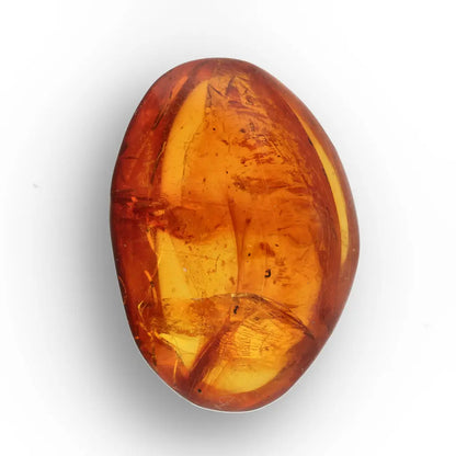 Get your Dominican Amber Fossil with Perfect Insect Inclusion online now or in store at Forever Gems in Franschhoek, South Africa