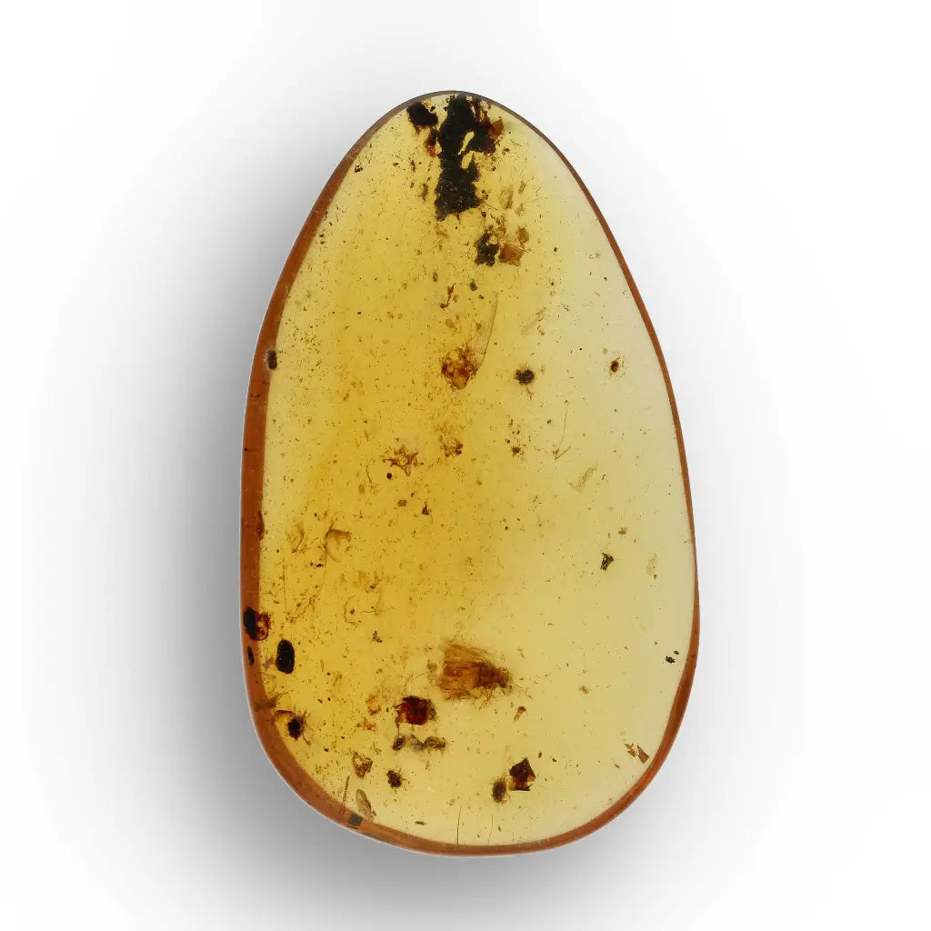Get your Myanmar Amber with Insect Inclusion – Natural Fossil Specimen online now or in store at Forever Gems in Franschhoek, South Africa