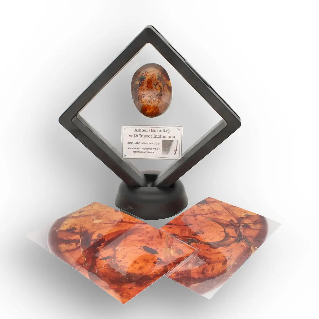 Get your Myanmar Amber Burmite with Abundant Natural Inclusions online now or in store at Forever Gems in Franschhoek, South Africa