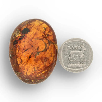 Get your Myanmar Amber Burmite with Abundant Natural Inclusions online now or in store at Forever Gems in Franschhoek, South Africa