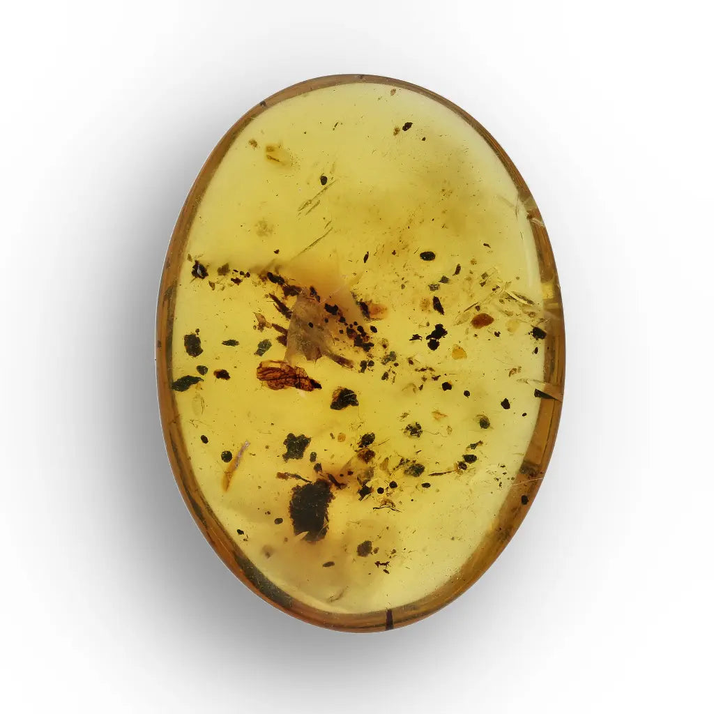 Get your Burmese Amber with Trapped Insect – Genuine Prehistoric Fossil online now or in store at Forever Gems in Franschhoek, South Africa