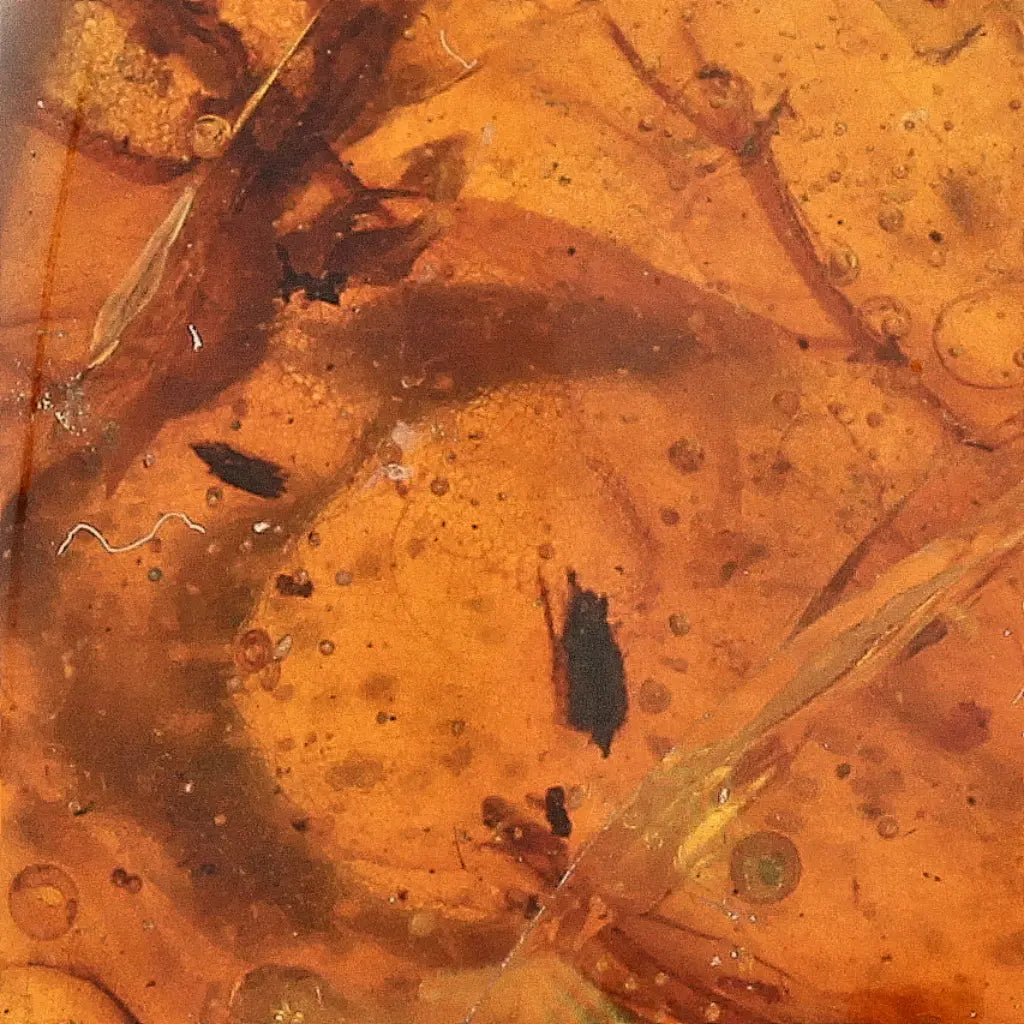 Get your Myanmar Amber Burmite with Abundant Natural Inclusions online now or in store at Forever Gems in Franschhoek, South Africa