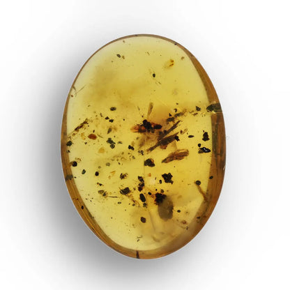 Get your Burmese Amber with Trapped Insect – Genuine Prehistoric Fossil online now or in store at Forever Gems in Franschhoek, South Africa