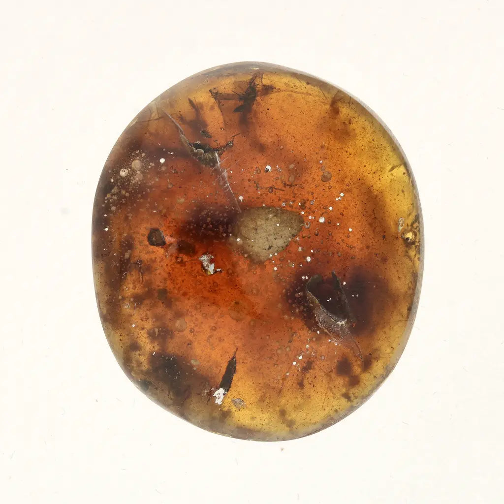 Get your Myanmar Amber Burmite with Prehistoric Insect Inclusions online now or in store at Forever Gems in Franschhoek, South Africa