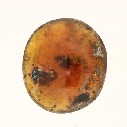 Get your Myanmar Amber Burmite with Prehistoric Insect Inclusions online now or in store at Forever Gems in Franschhoek, South Africa