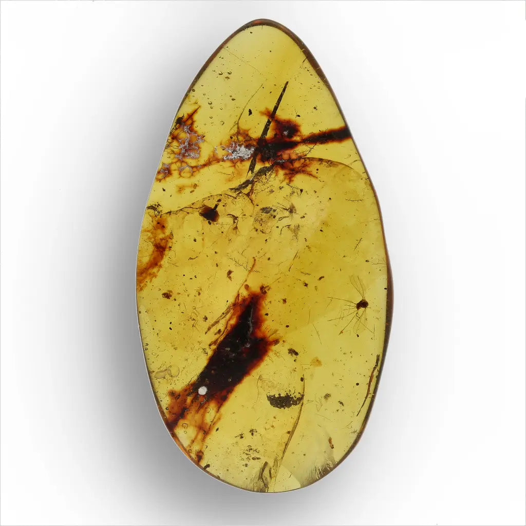 Authentic Myanmar Amber with Multiple Insect Inclusions